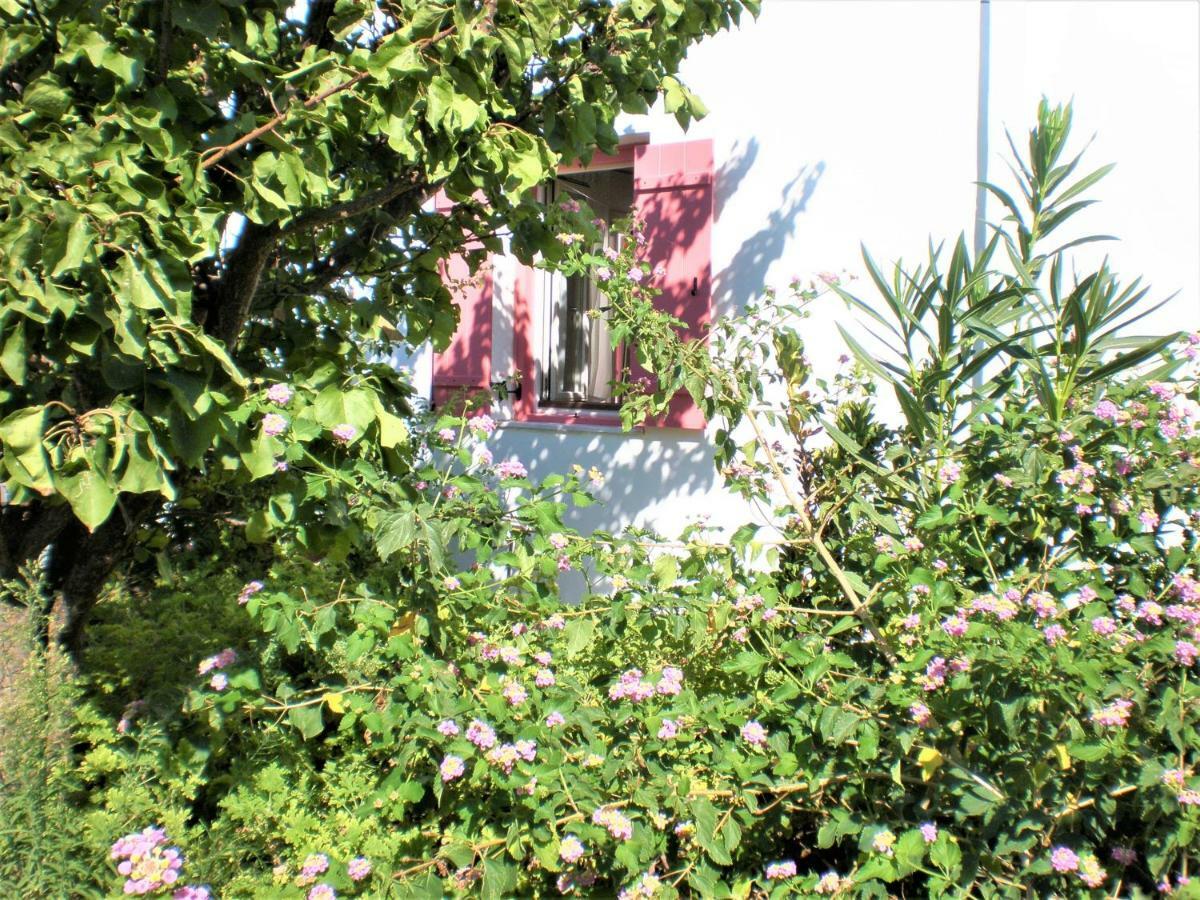 Astyvillas Livadi  Exterior foto